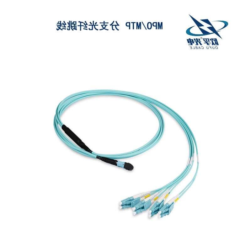 黄浦区MPO/MTP 分支光纤跳线