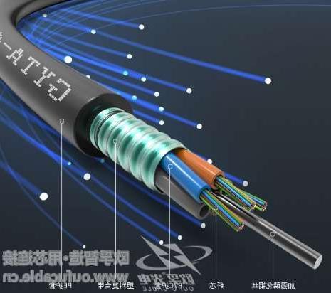 金华市欧孚通信光缆厂 室内常用光缆有哪几种类型