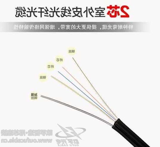 荆州市欧孚光缆厂家 双芯皮线光缆是什么结构的